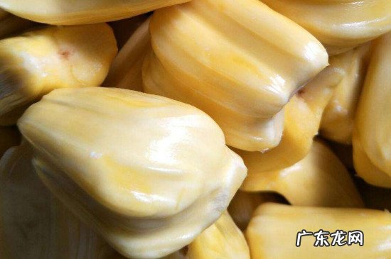 吃菠萝蜜的正确吃法