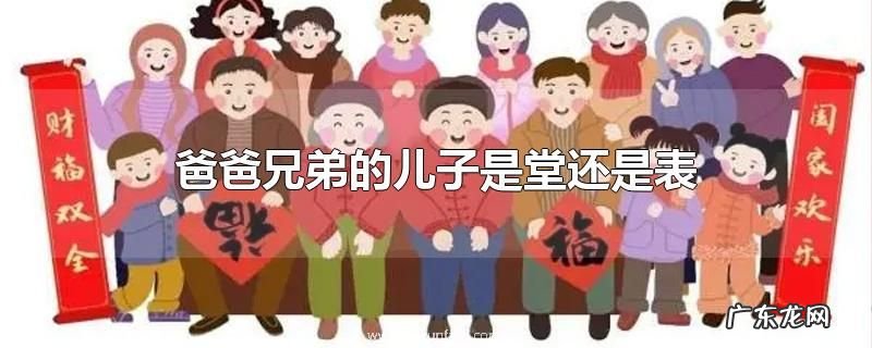 爸爸兄弟的儿子是堂还是表