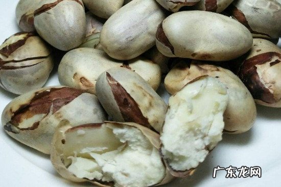 菠萝蜜种子有毒吗