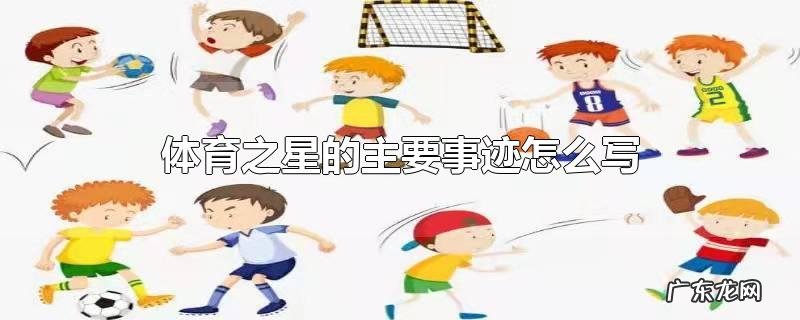 体育之星的主要事迹怎么写