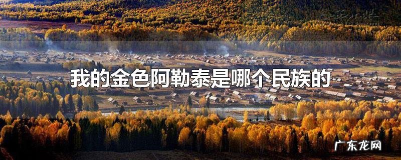 我的金色阿勒泰是哪个民族的