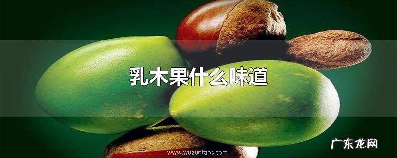乳木果什么味道
