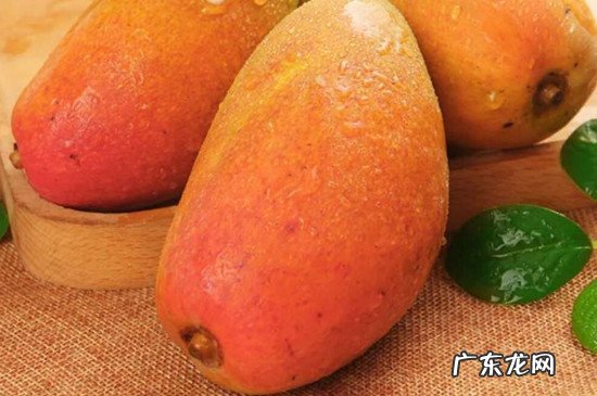 女人吃芒果好处和坏处