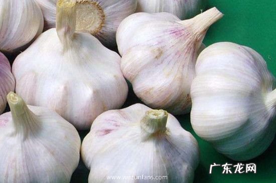 半夜没有蚊香怎么驱蚊