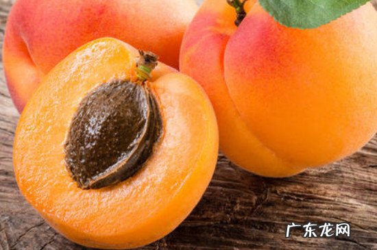 杏子泡酒的功效与作用禁忌