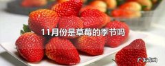 11月份是草莓的季节吗