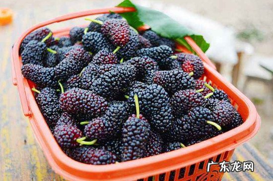 咸鸭蛋不能和什么一起吃