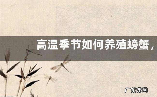 高温季节如何养殖螃蟹，要做到以下四点