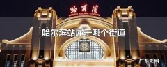 哈尔滨站属于哪个街道