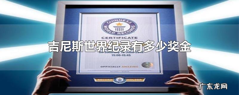 吉尼斯世界纪录有多少奖金
