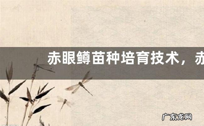 赤眼鳟苗种培育技术,赤眼鳟培育要点