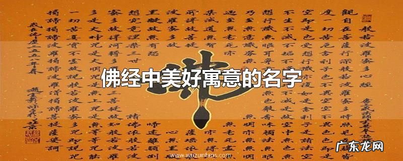 佛经中美好寓意的名字