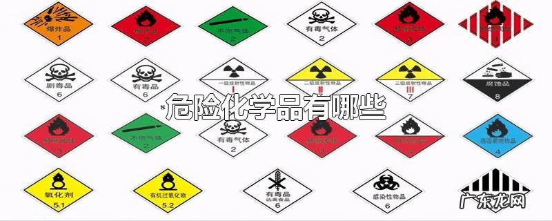 危险化学品有哪些