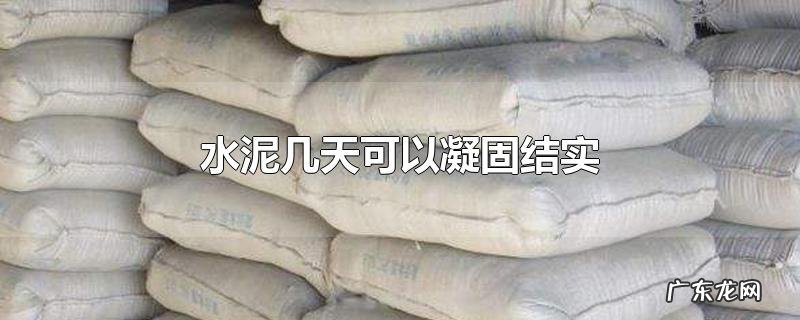 水泥几天可以凝固结实