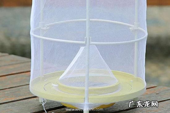 长期驱赶苍蝇的办法