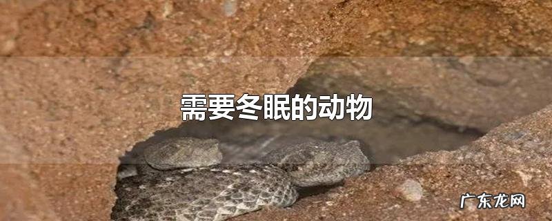 需要冬眠的动物