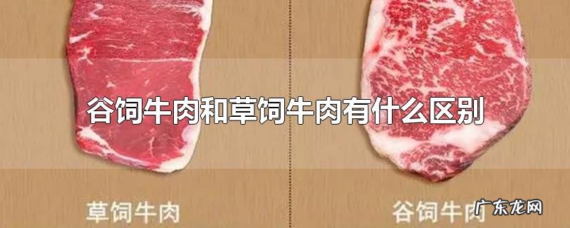 谷饲牛肉和草饲牛肉有什么区别