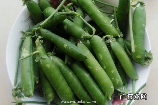 豌豆壳发霉了豆子还能吃吗