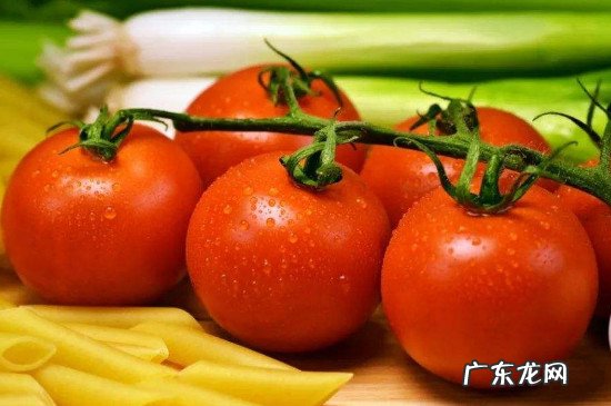 苦瓜和西红柿能在一块儿吃吗