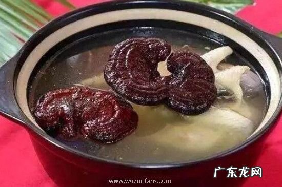灵芝可以和红枣枸杞一起煲汤吗