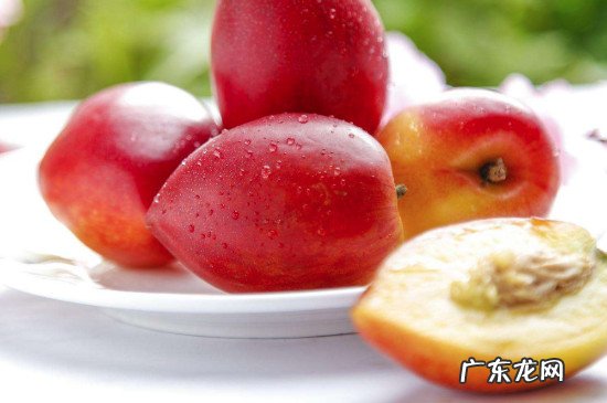 油桃可以多吃吗