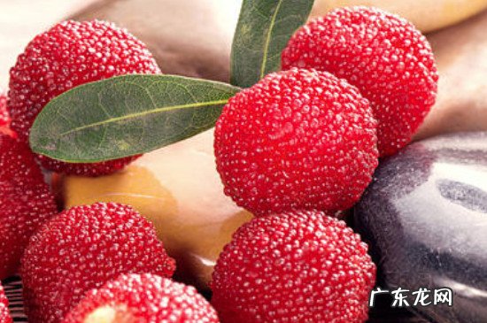 杨梅能放冰箱多久