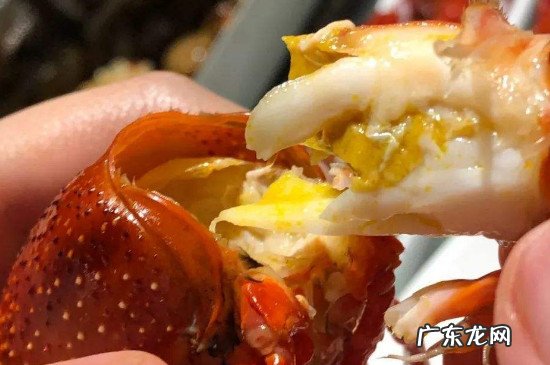 虾黄和屎的区别