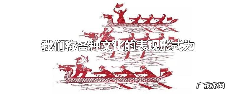 我们称各种文化的表现形式为