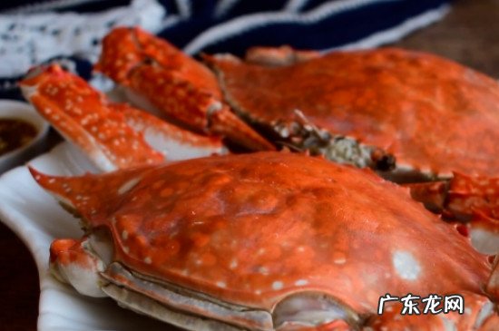 清蒸螃蟹的做法和步骤