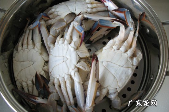 清蒸螃蟹的做法和步骤