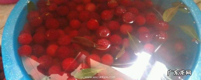 盐水泡杨梅虫子出来了还能吃吗