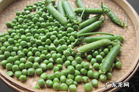 十种适合蒸着吃的杂粮