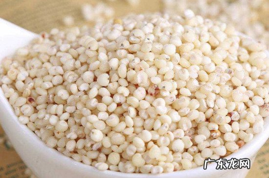 十种适合蒸着吃的杂粮