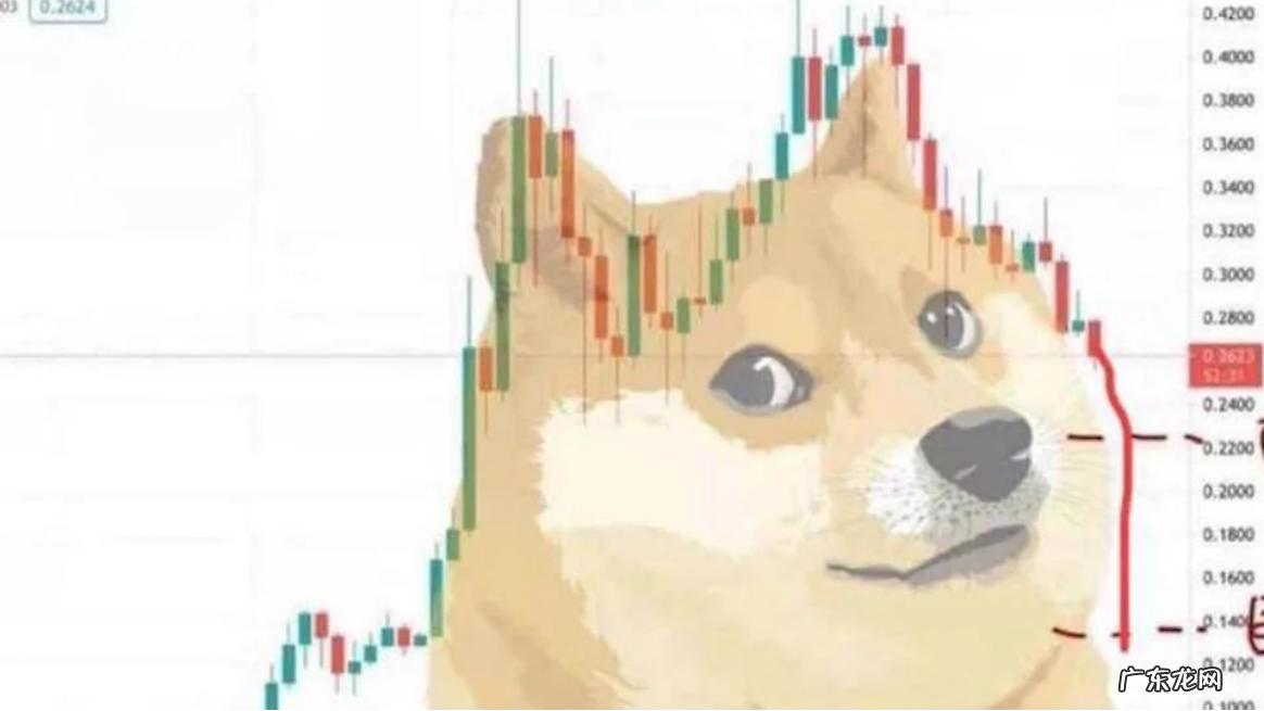 比特币大佬看衰狗狗币是真的吗