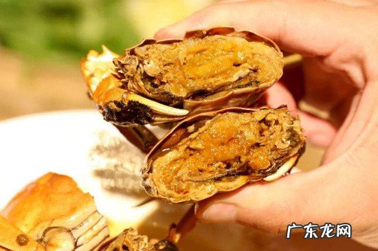 蟹膏是蟹的什么