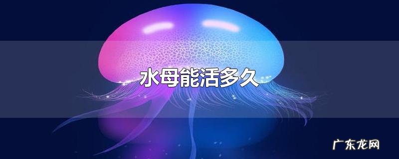 水母能活多久