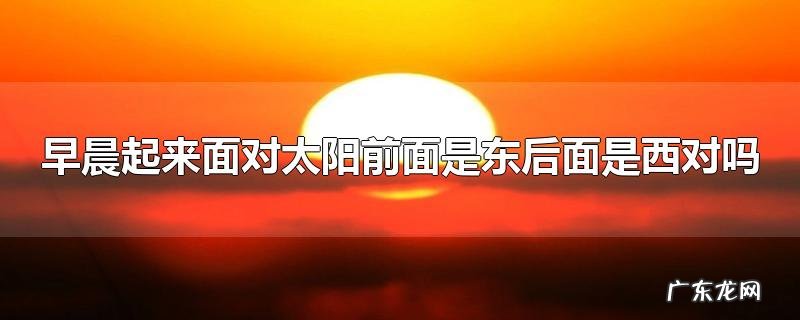 早晨起来面对太阳前面是东后面是西对吗