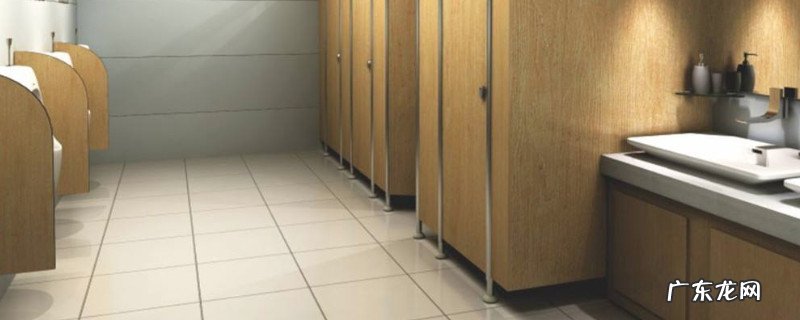 露天厕所苍蝇多怎么办