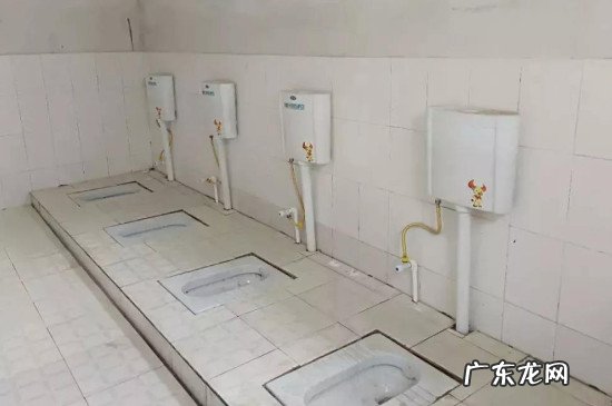 露天厕所苍蝇多怎么办