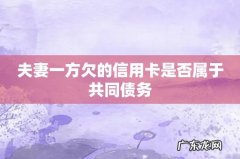夫妻一方欠的信用卡是否属于共同债务
