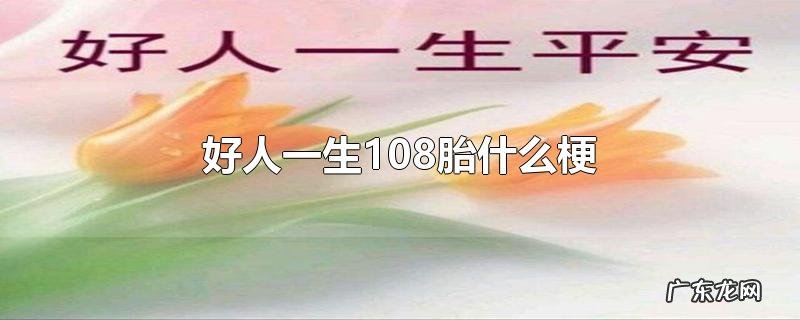 好人一生108胎什么梗