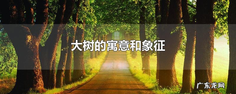 大树的寓意和象征
