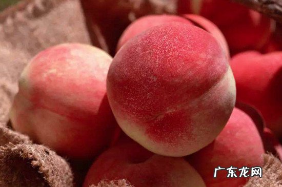 山药和桃子能一起吃吗