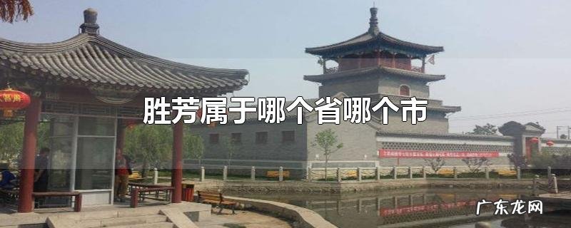 胜芳属于哪个省哪个市