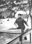 钟情一夏解释