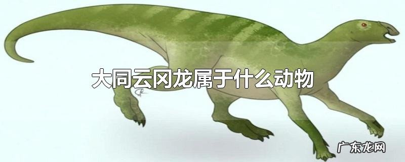 大同云冈龙属于什么动物