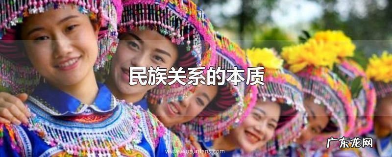 民族关系的本质