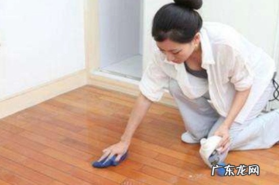 怎么防止蚂蚁进入家里