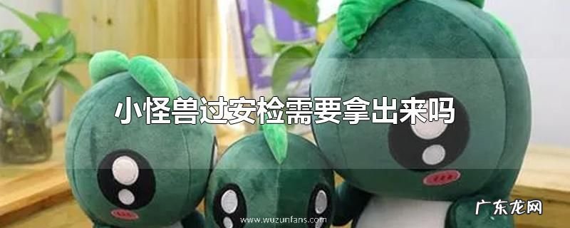 小怪兽过安检需要拿出来吗