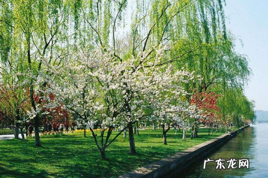 西湖的12个著名景点